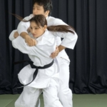 Thumbnail of related posts 133